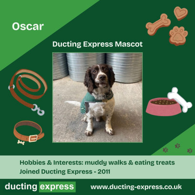 Oscar