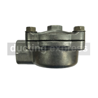 Goyen 1" Threaded Diaphragm Valve - RCAC25T4022